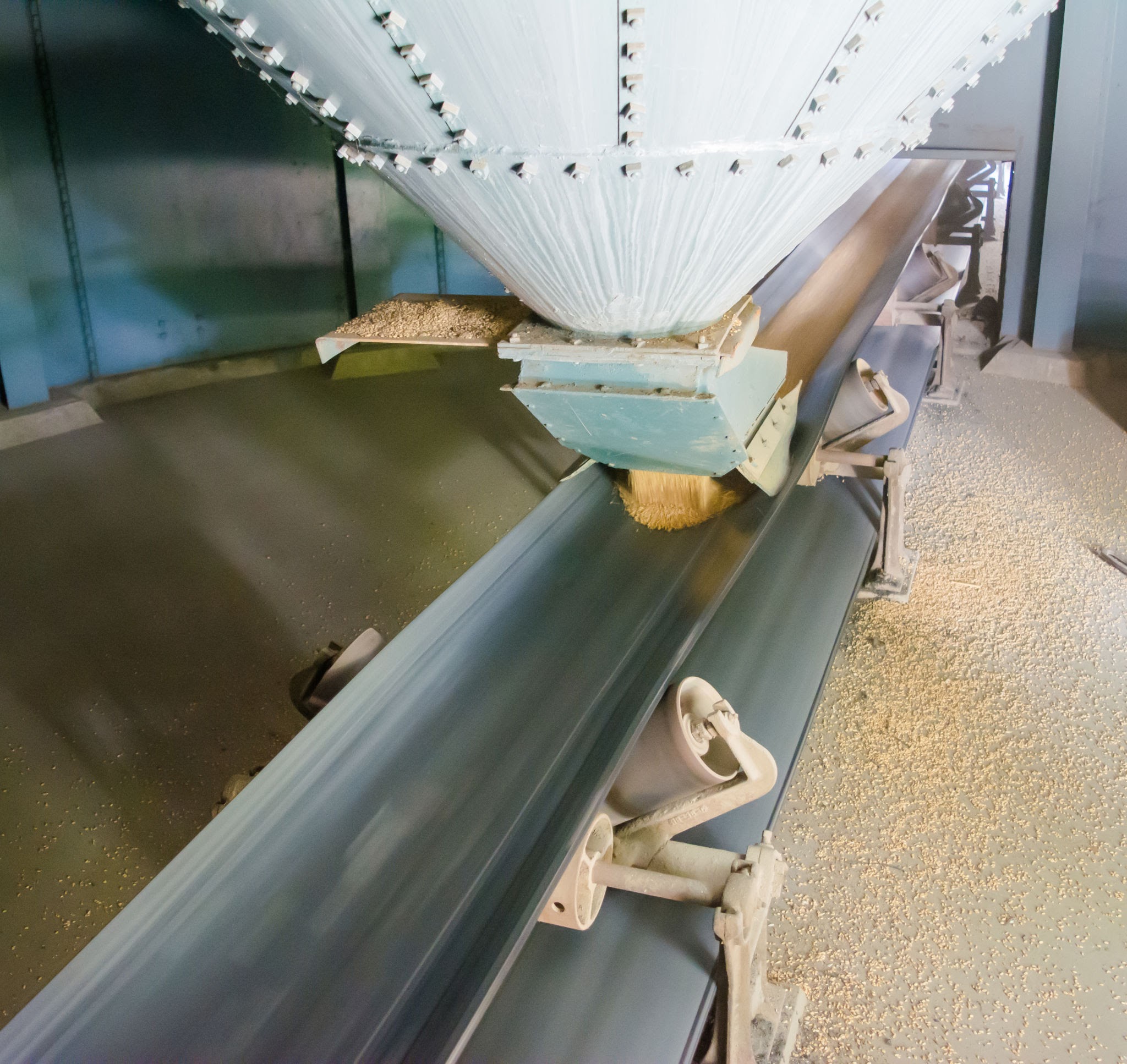 Belt Conveyor — Ys Food Machinery Manufacturers 